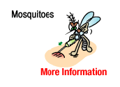 Mosquitoes